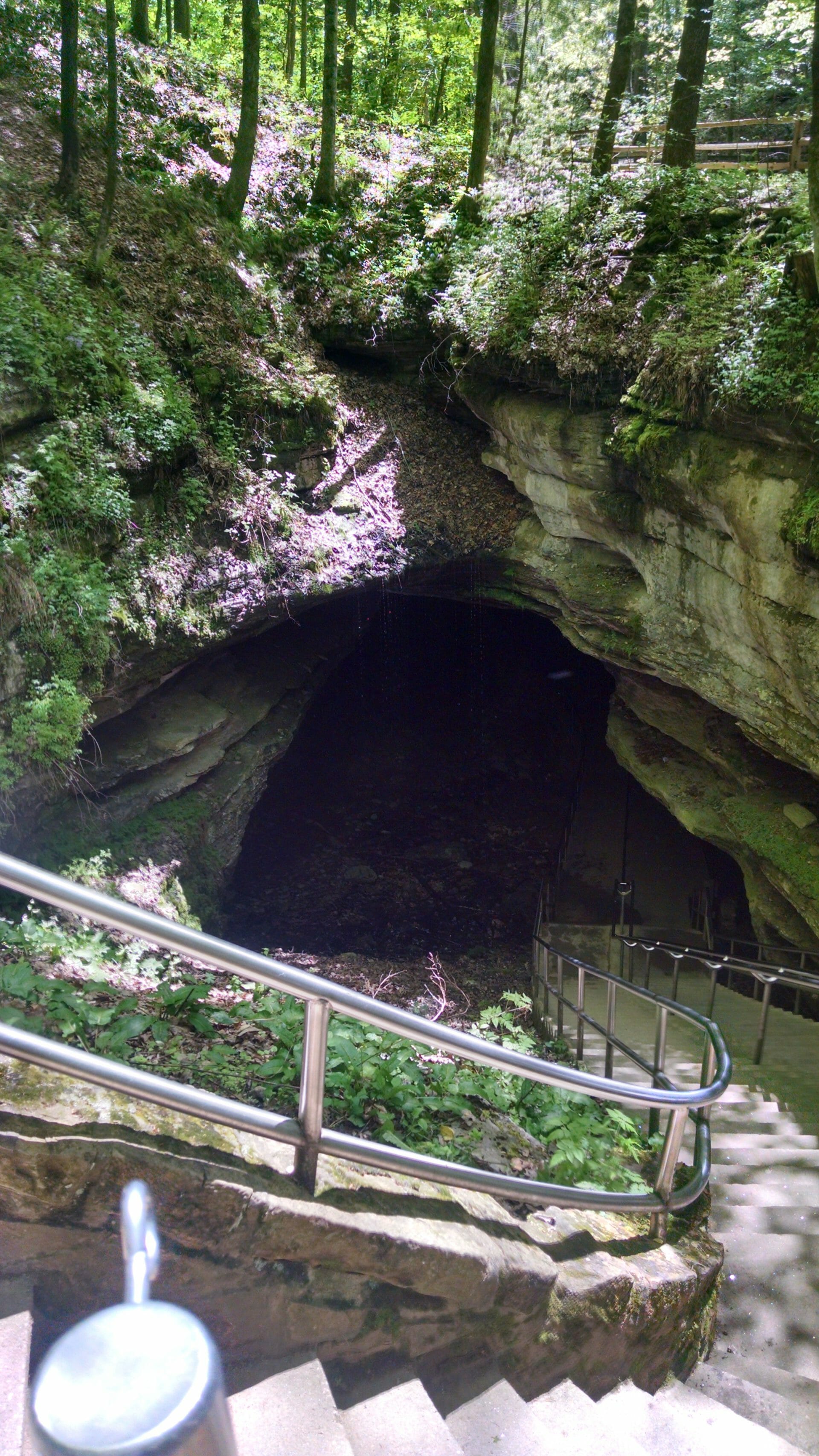 Mammoth Cave Kentucky: 5 Things To Do With Your Kids