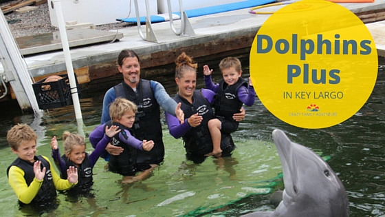 Dolphins Plus in Key Largo - Crazy Family Adventure