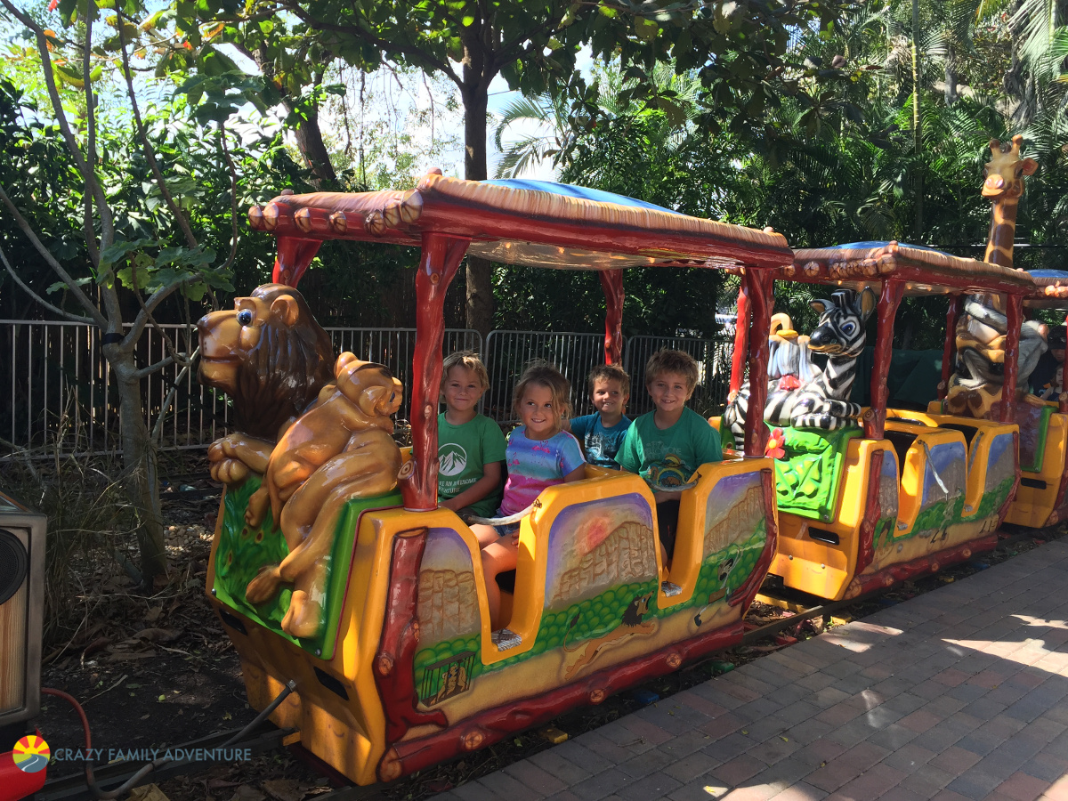 Palm Beach Zoo A Great Family Time! - Crazy Family Adventure