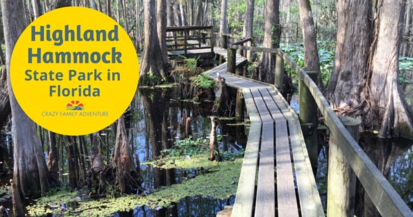 Highland Hammock State Park In Florida - Crazy Family Adventure