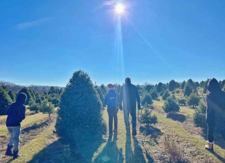 Kids walking with Craig looking at Christmas Tress in Wisconsin